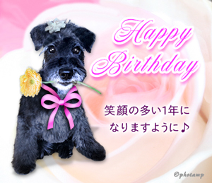 Happy Birthday ふぉたんぷ